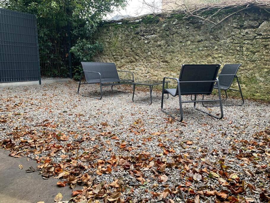Appartements De Standing Centre Ville, Gare, Jardin,Terrasse Le Mans Exteriör bild
